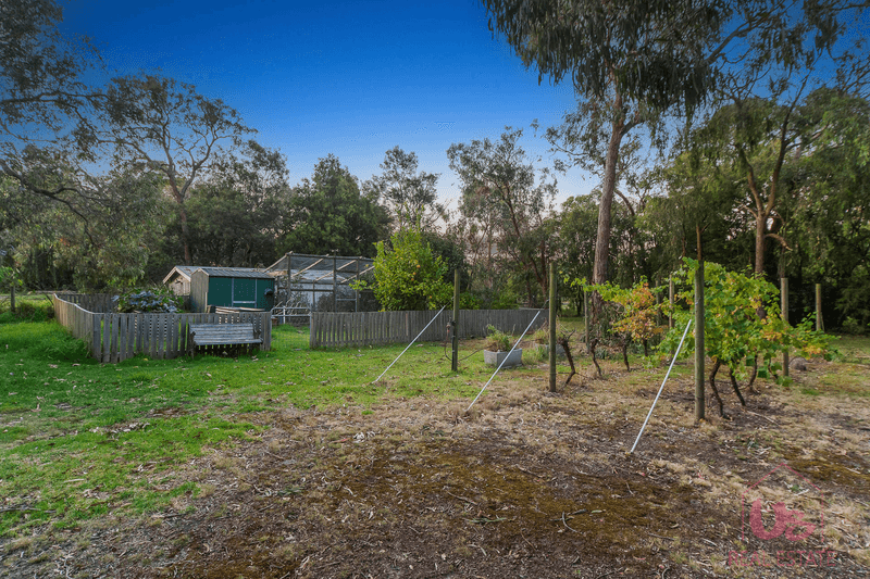 33 Kingston Road, LANGWARRIN, VIC 3910