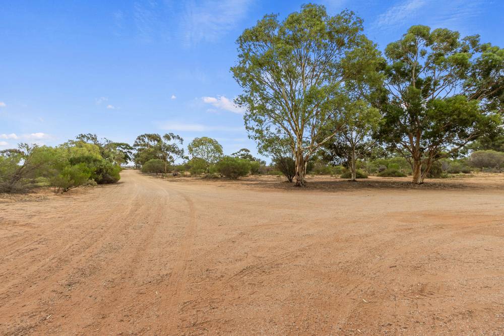 12210 Augusta Highway, NAPPERBY, SA 5540