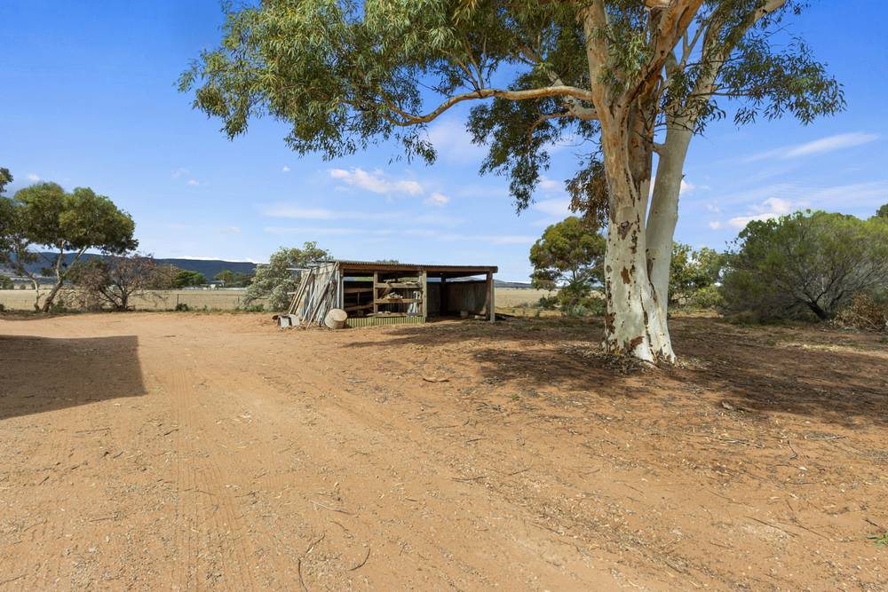 12210 Augusta Highway, NAPPERBY, SA 5540