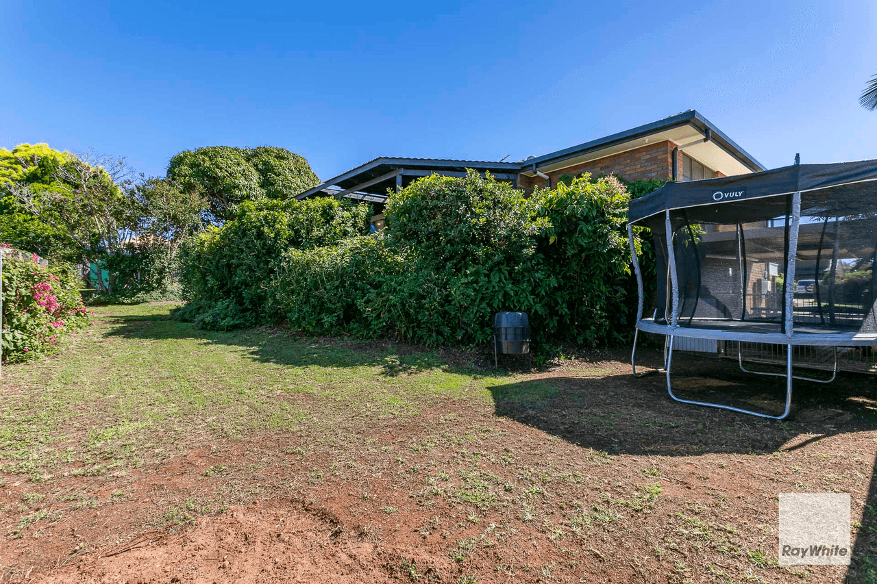 19 Dell Street, CLEVELAND, QLD 4163