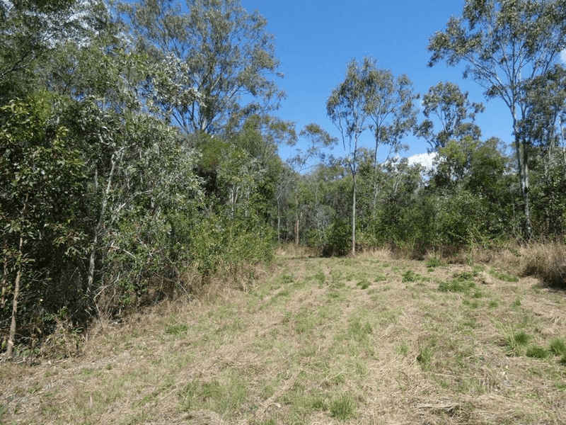 Lot 87  Bischoffs Road, EULEILAH, QLD 4674