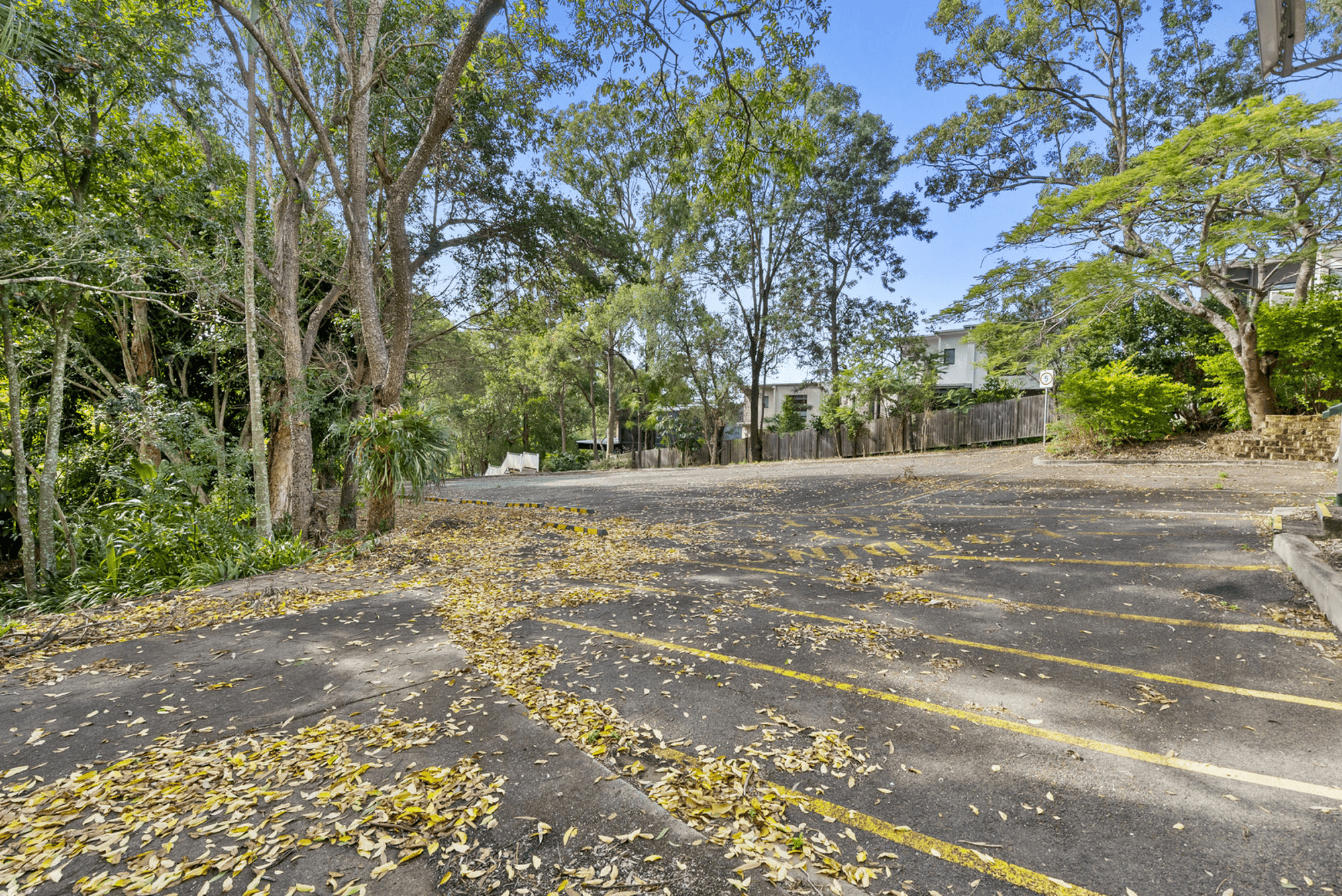 284 Pine Mountain Road, CARINA HEIGHTS, QLD 4152