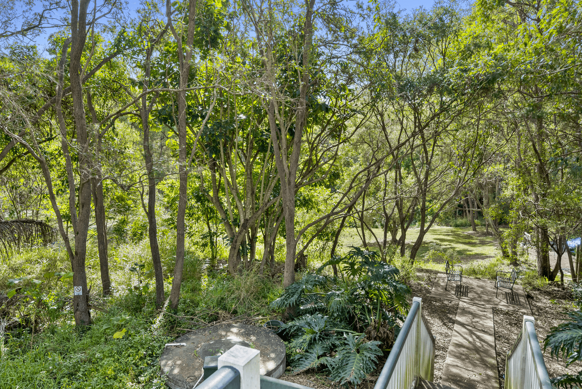 284 Pine Mountain Road, CARINA HEIGHTS, QLD 4152