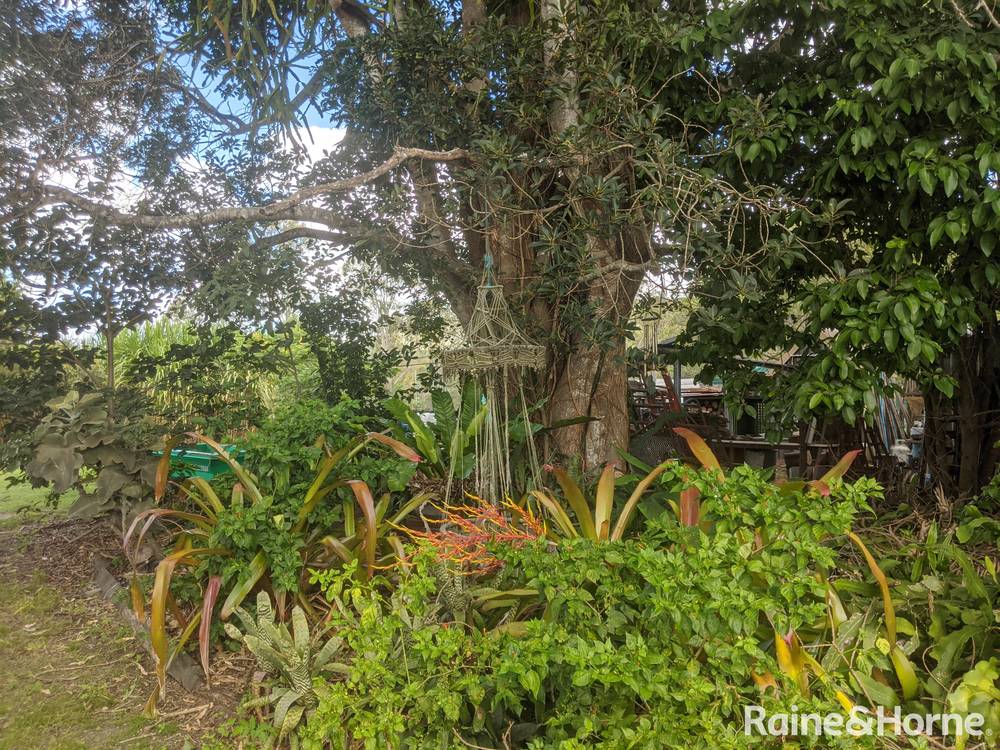 55 Chavasse Drive, WONBAH, QLD 4671
