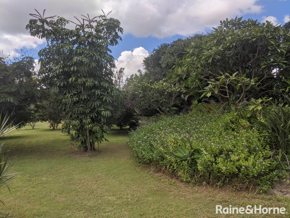 55 Chavasse Drive, WONBAH, QLD 4671