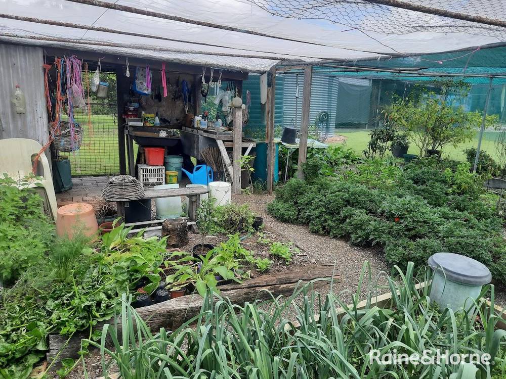 55 Chavasse Drive, WONBAH, QLD 4671