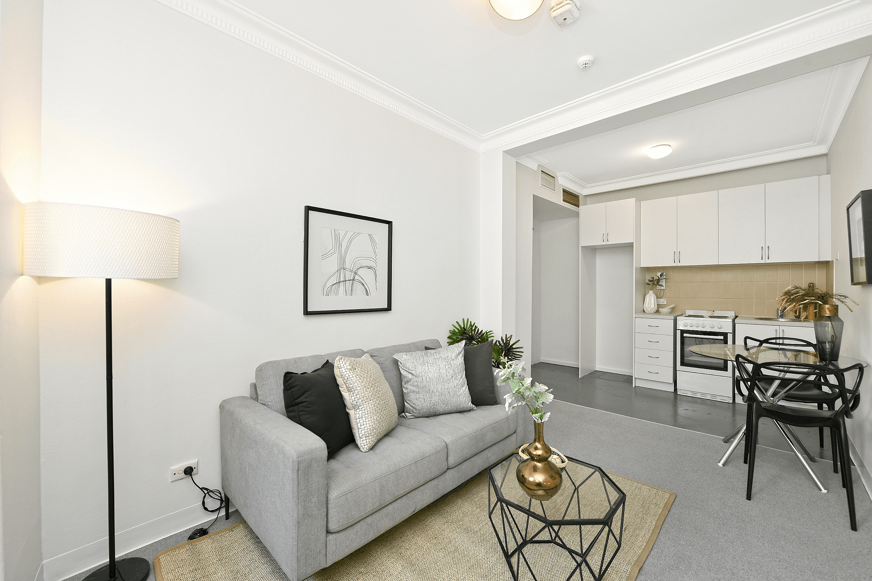 310/221-223 Darlinghurst Road, DARLINGHURST, NSW 2010