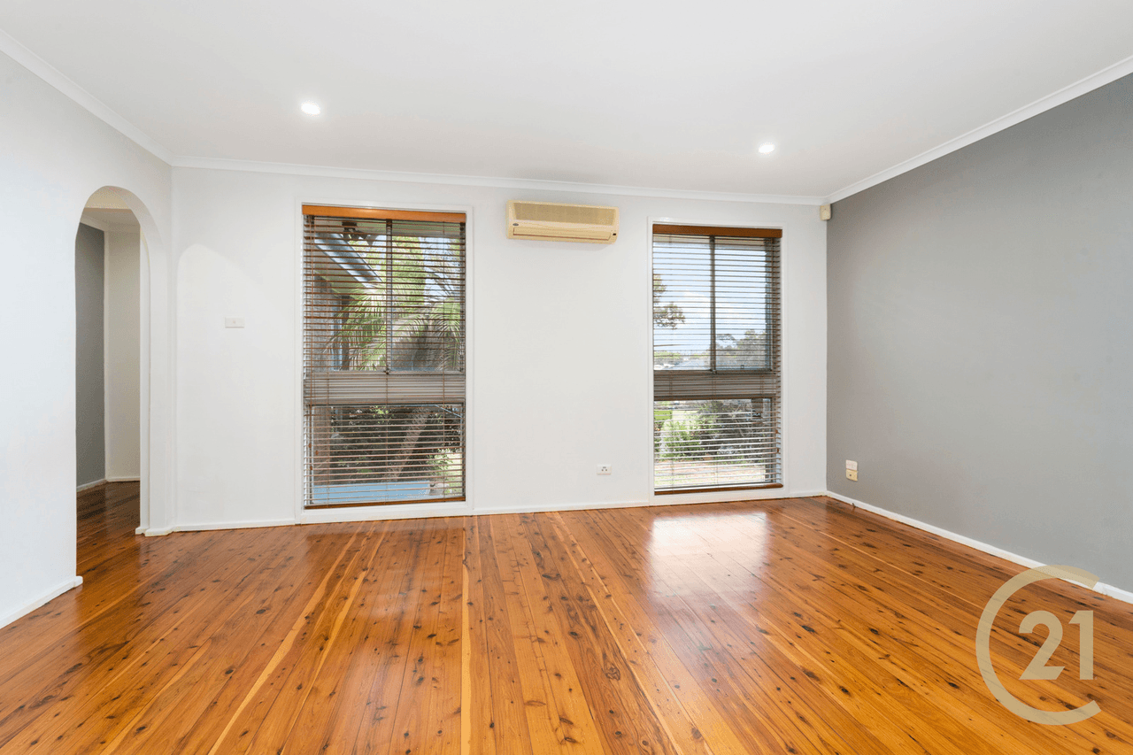 17 Pickett Avenue, Minto, NSW 2566