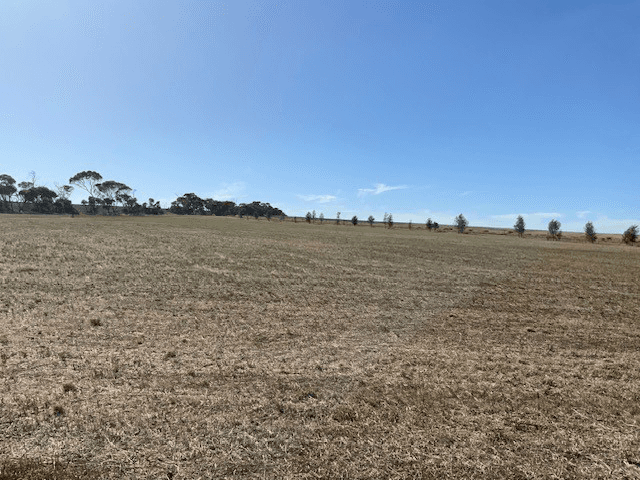 455 Cockaleechie Hall Road, COCKALEECHIE, SA 5631