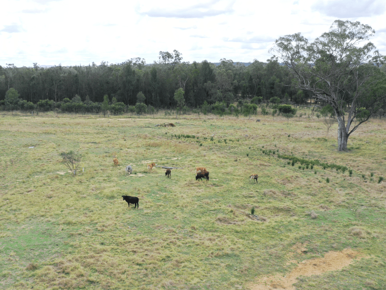 Lot 25 Hain Road, CANNING CREEK, QLD 4357