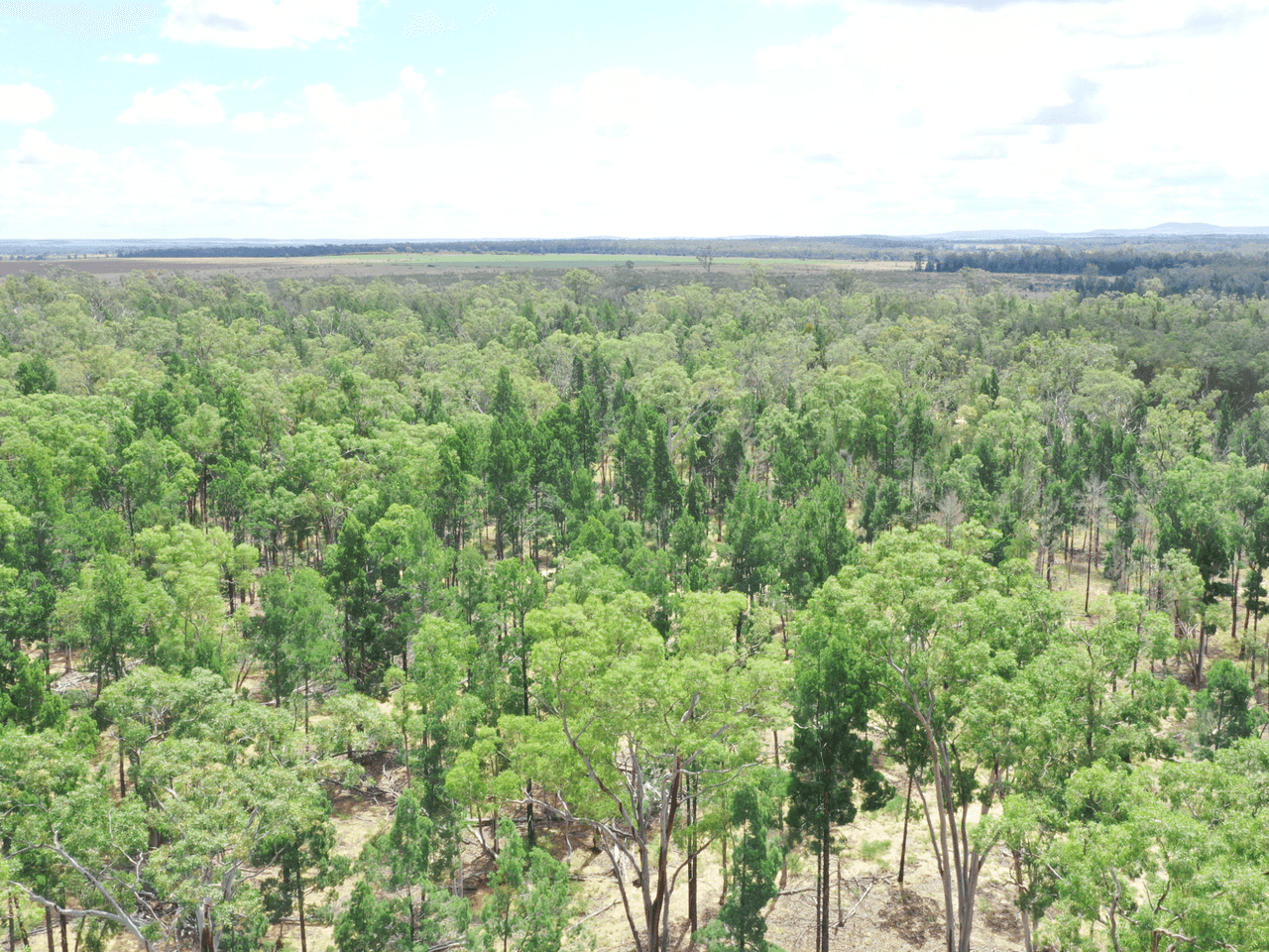 Lot 25 Hain Road, CANNING CREEK, QLD 4357