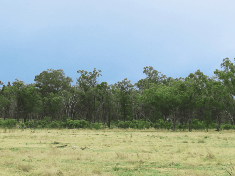 Lot 25 Hain Road, CANNING CREEK, QLD 4357