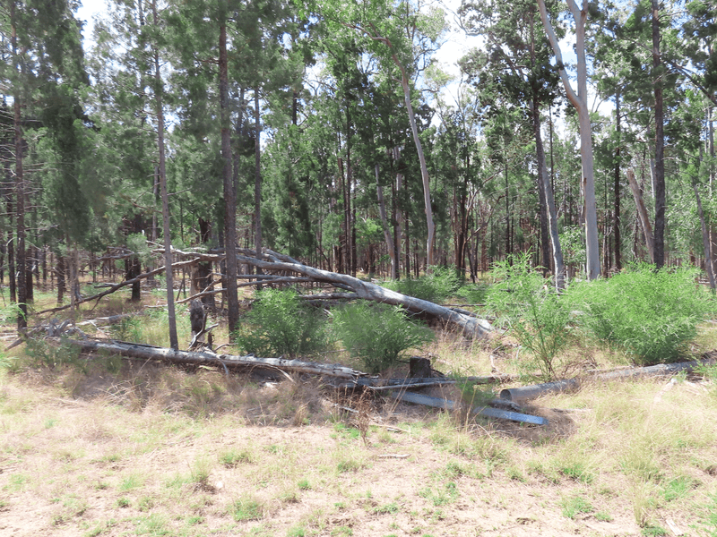 Lot 25 Hain Road, CANNING CREEK, QLD 4357