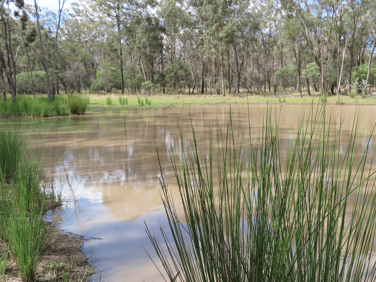 Lot 25 Hain Road, CANNING CREEK, QLD 4357