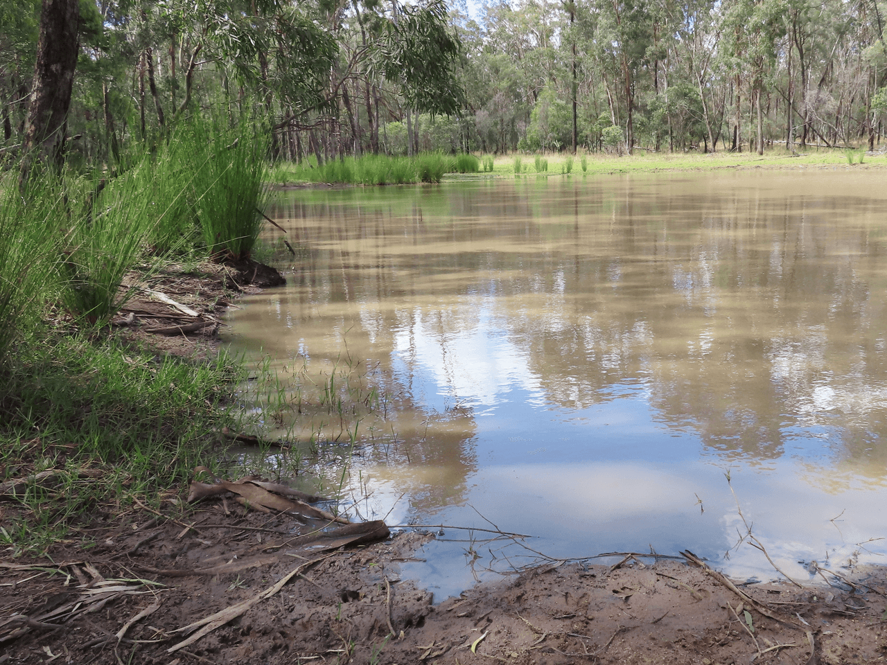 Lot 25 Hain Road, CANNING CREEK, QLD 4357