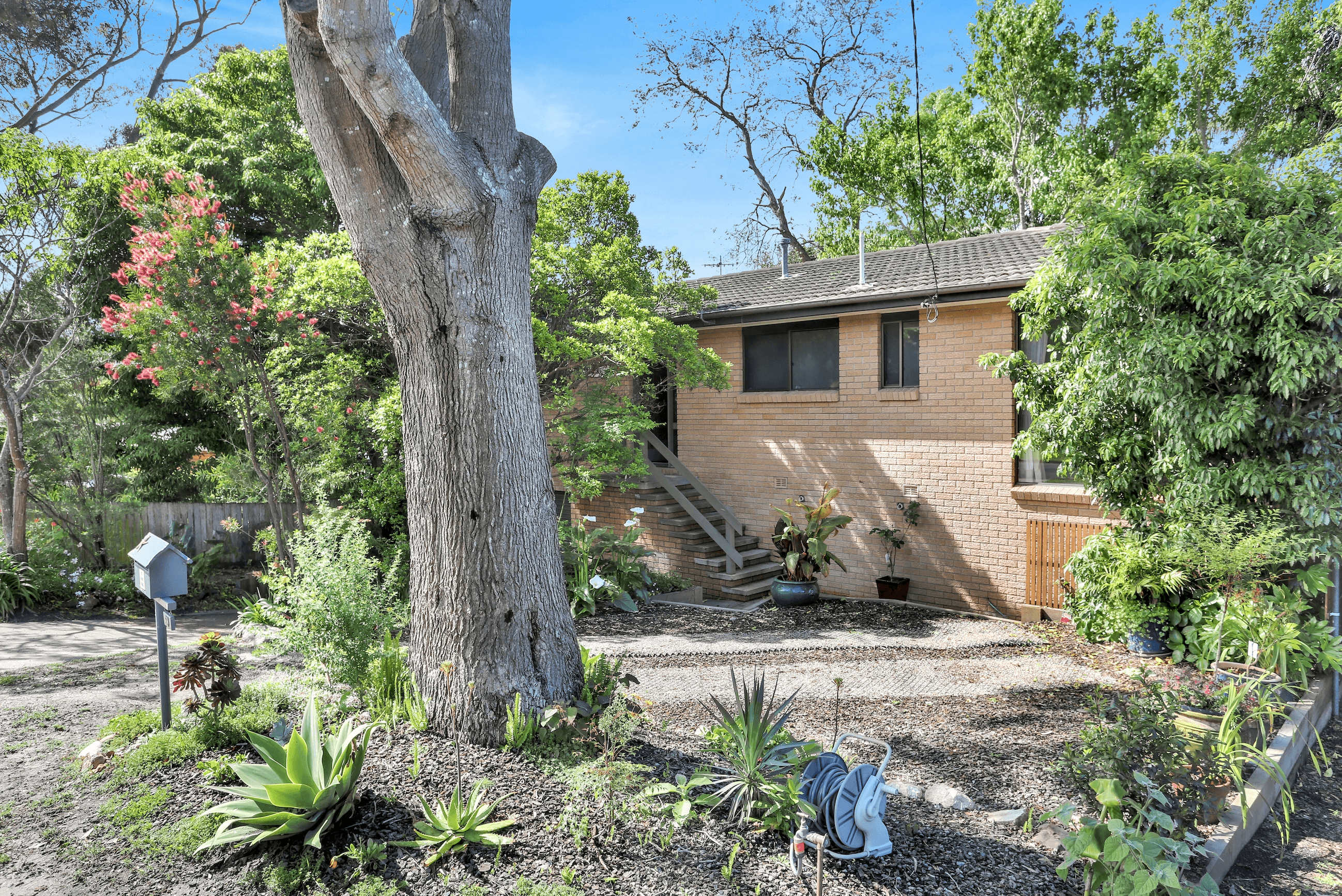 59 Culgoa Crescent, Pambula Beach, NSW 2549