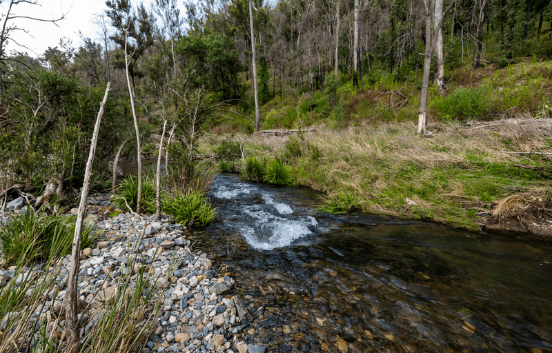 Lot 510 Armidale Road, NYMBOIDA, NSW 2460