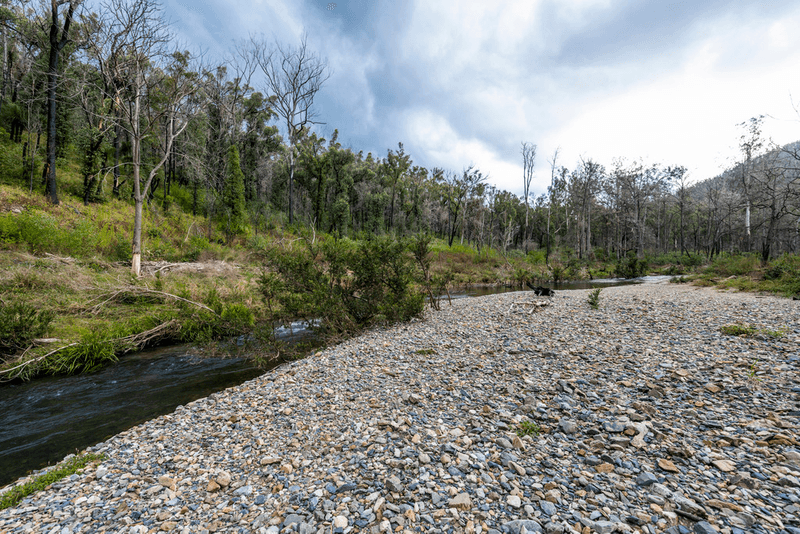 Lot 510 Armidale Road, NYMBOIDA, NSW 2460