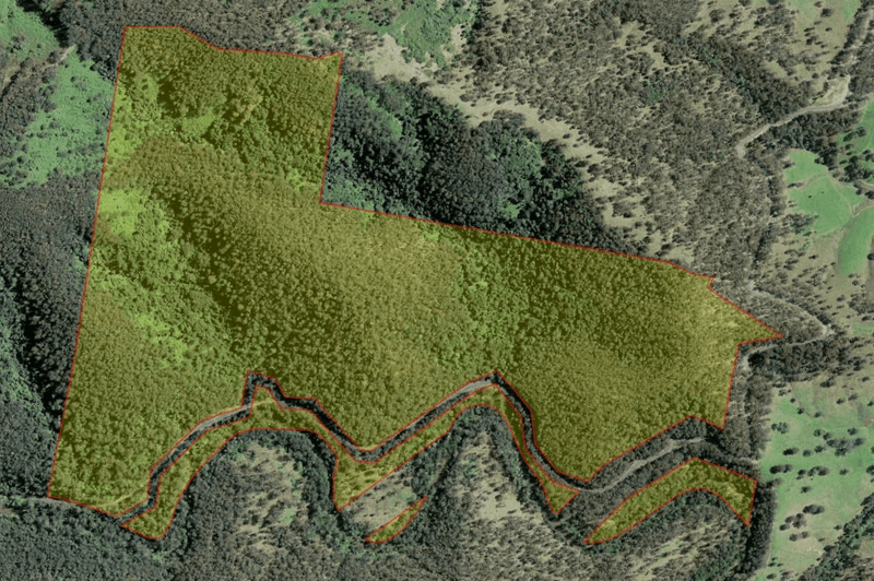 Lot 510 Armidale Road, NYMBOIDA, NSW 2460