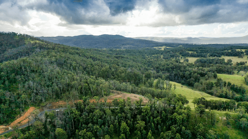 Lot 510 Armidale Road, NYMBOIDA, NSW 2460