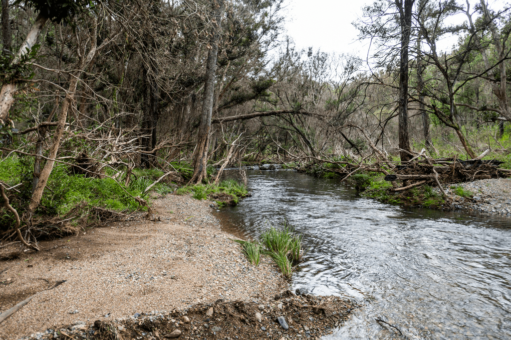 Lot 510 Armidale Road, NYMBOIDA, NSW 2460