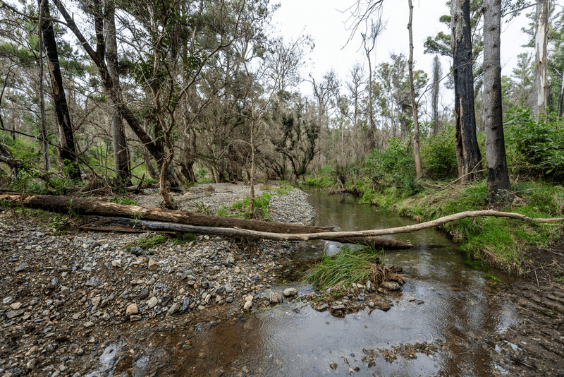 Lot 510 Armidale Road, NYMBOIDA, NSW 2460