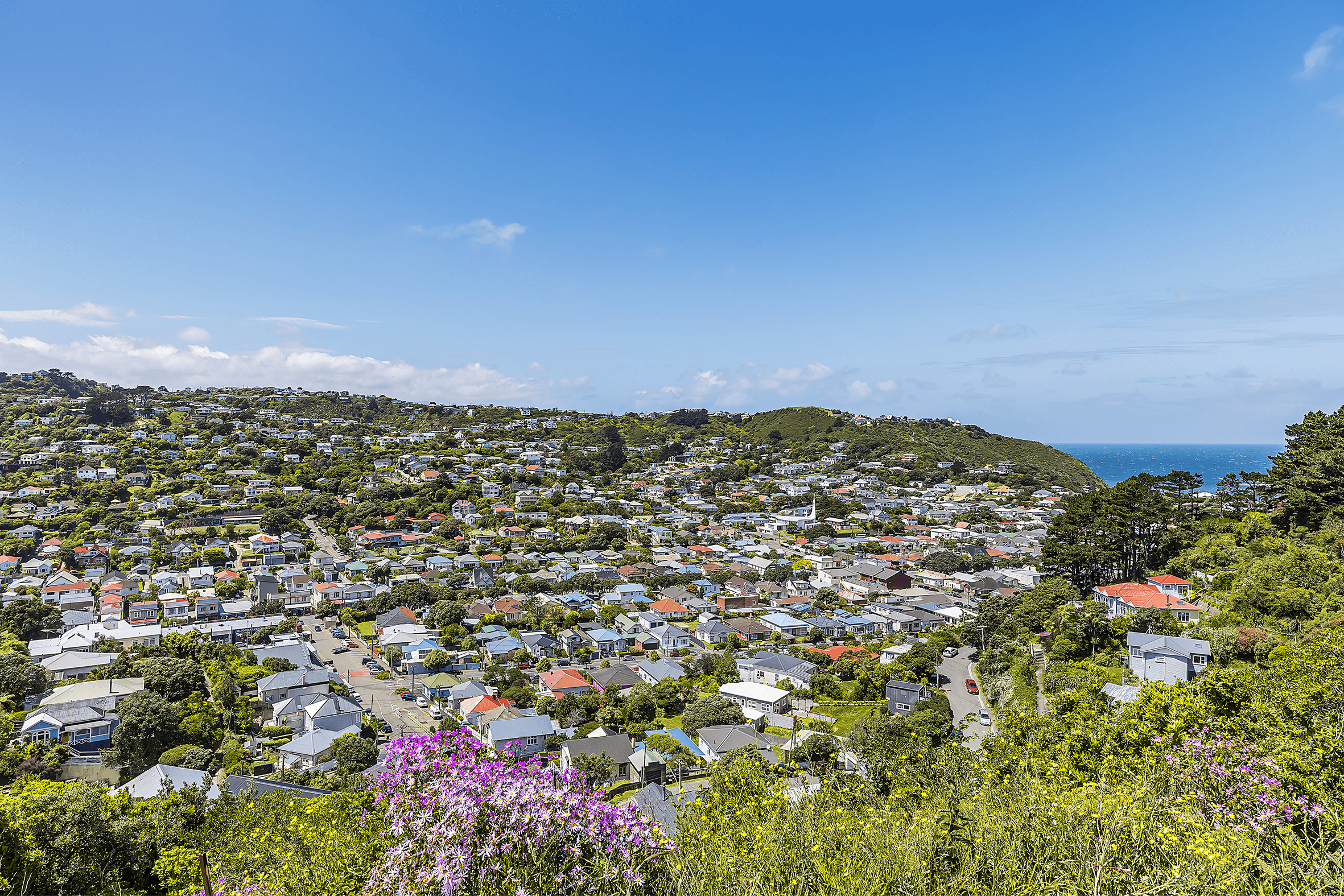 Lot 6, 75 Rhine Street, Island Bay, Wellington 