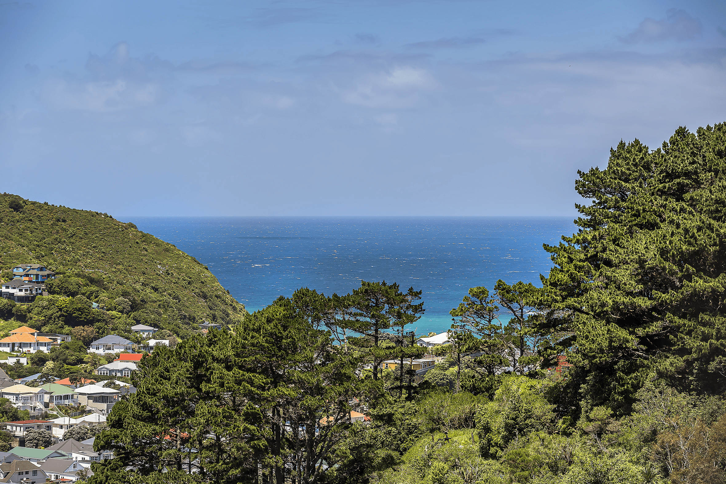 Lot 6, 75 Rhine Street, Island Bay, Wellington 