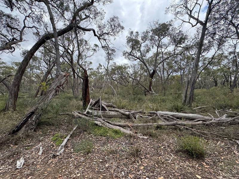 766 Tallengower Road, Chetwynd, VIC 3312