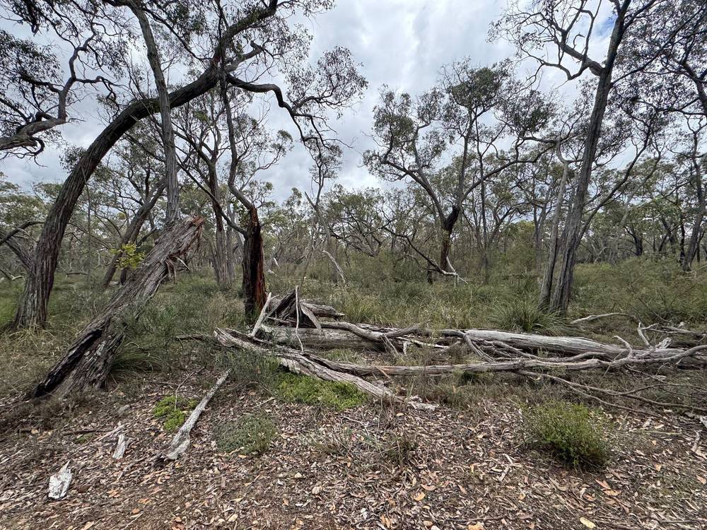 766 Tallengower Road, Chetwynd, VIC 3312