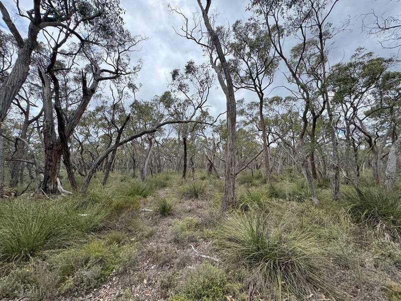 766 Tallengower Road, Chetwynd, VIC 3312