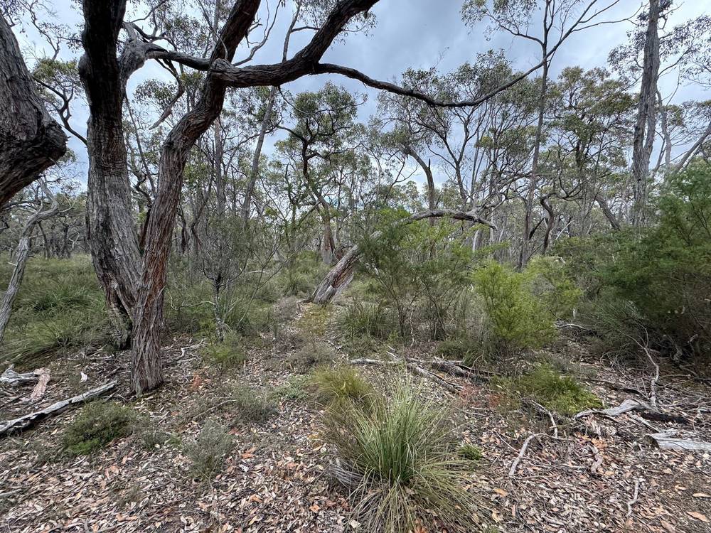 766 Tallengower Road, Chetwynd, VIC 3312