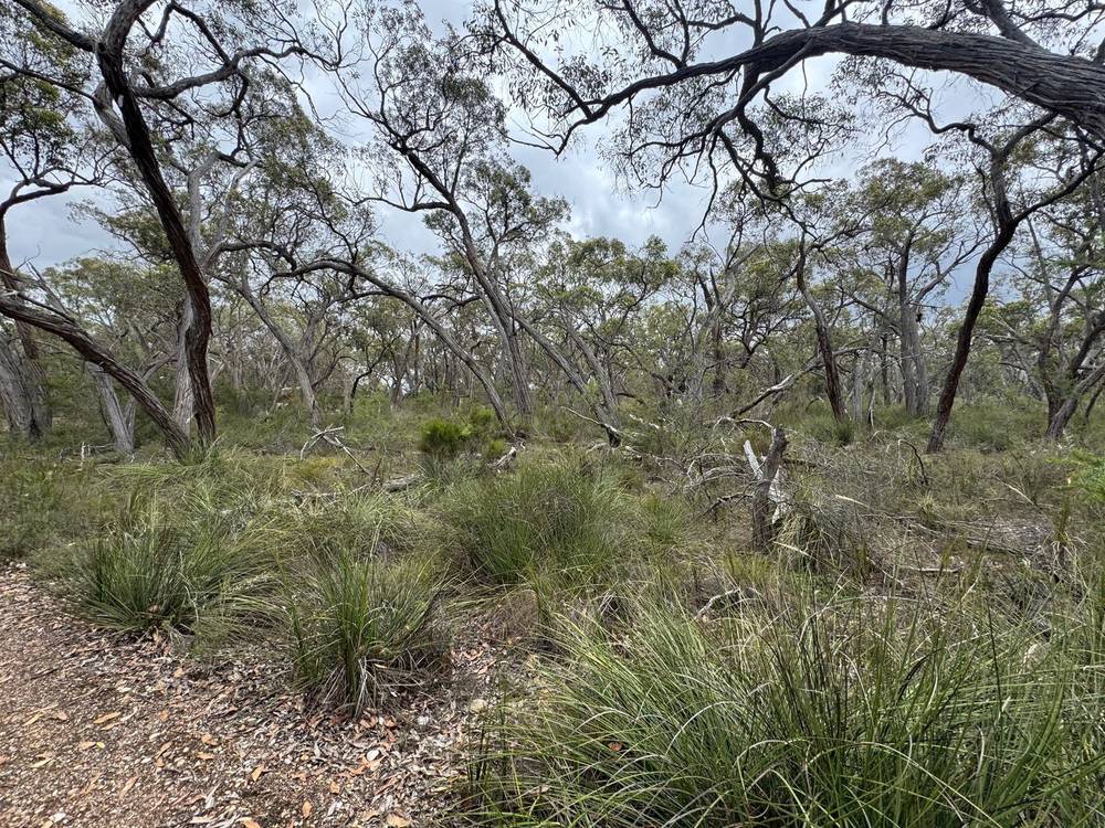 766 Tallengower Road, Chetwynd, VIC 3312