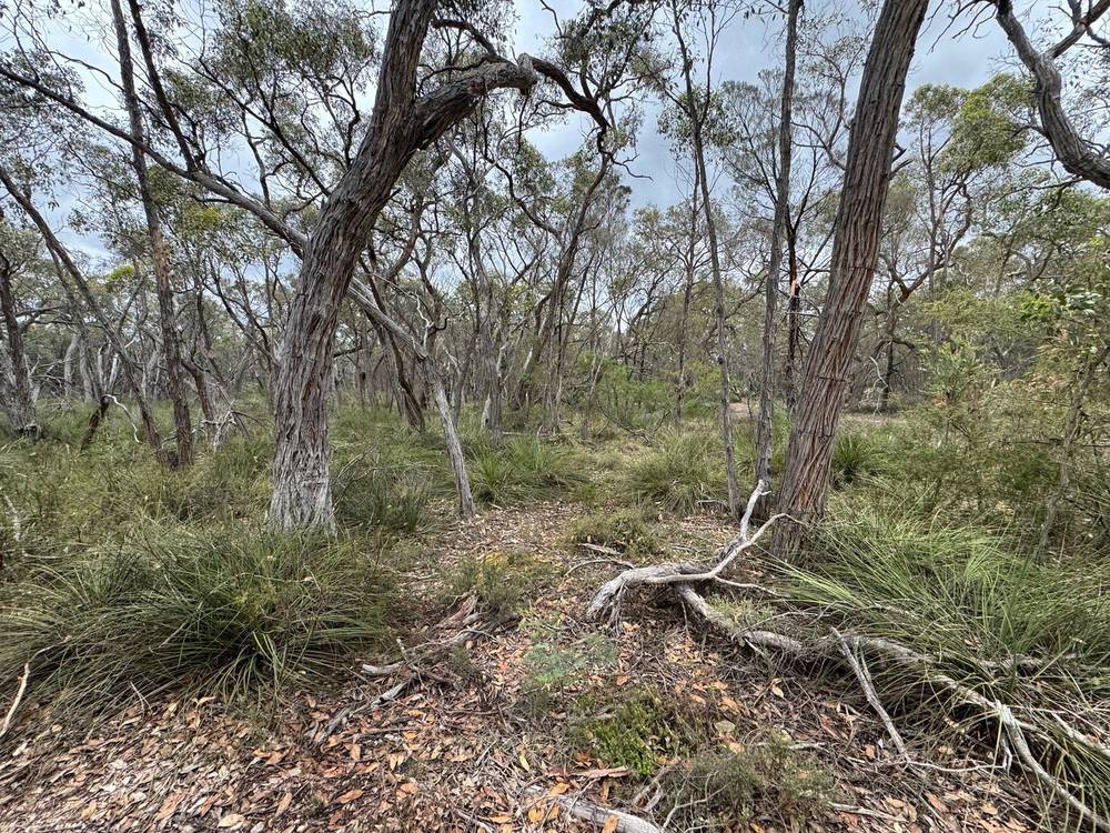 766 Tallengower Road, Chetwynd, VIC 3312