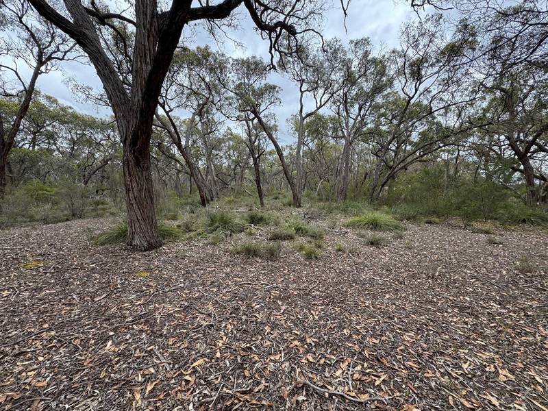 766 Tallengower Road, Chetwynd, VIC 3312