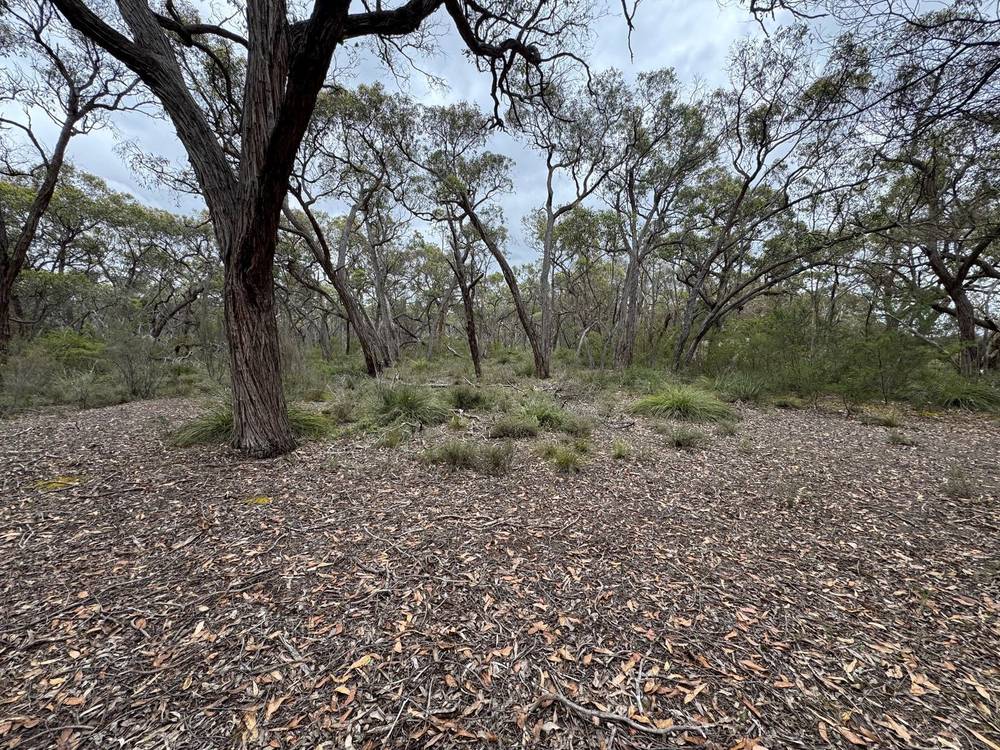 766 Tallengower Road, Chetwynd, VIC 3312