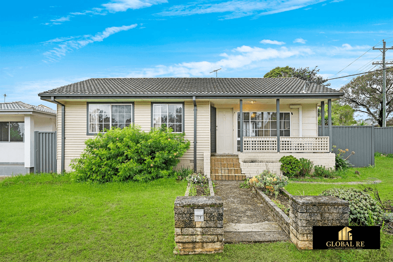 7 Lander Street, LEUMEAH, NSW 2560