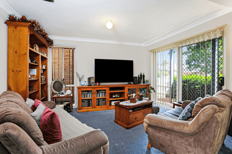 22 Brookview Street, CURRANS HILL, NSW 2567