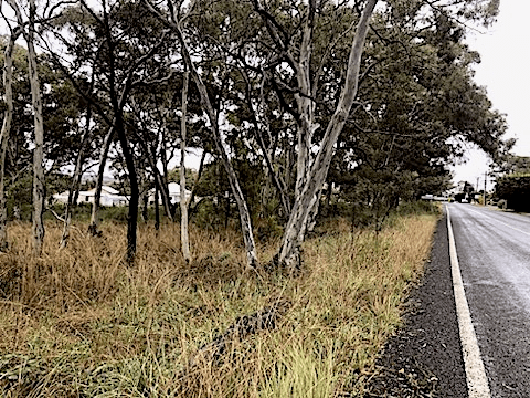 13 Castlereagh Highway, CAPERTEE, NSW 2846