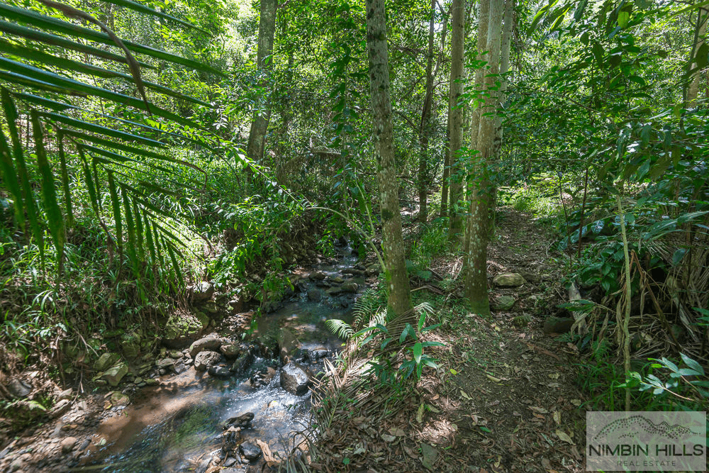 46 Tulsi Lane, NIMBIN, NSW 2480