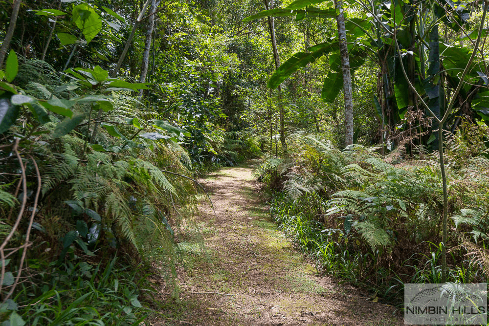 46 Tulsi Lane, NIMBIN, NSW 2480