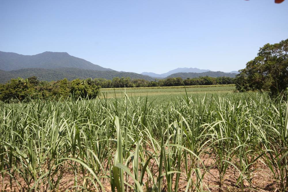 Lot 5 Woopen Creek Road, WOOPEN CREEK, QLD 4871