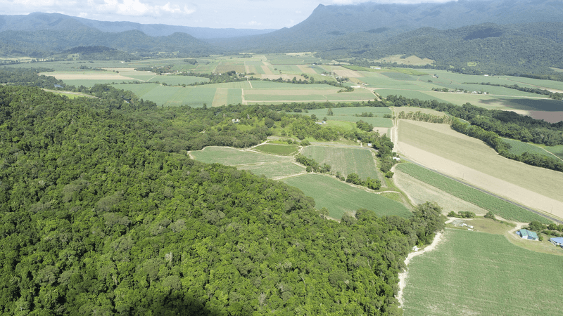 Lot 5 Woopen Creek Road, WOOPEN CREEK, QLD 4871