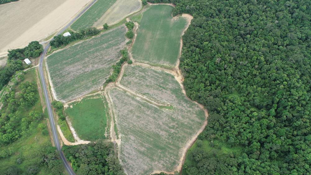 Lot 5 Woopen Creek Road, WOOPEN CREEK, QLD 4871