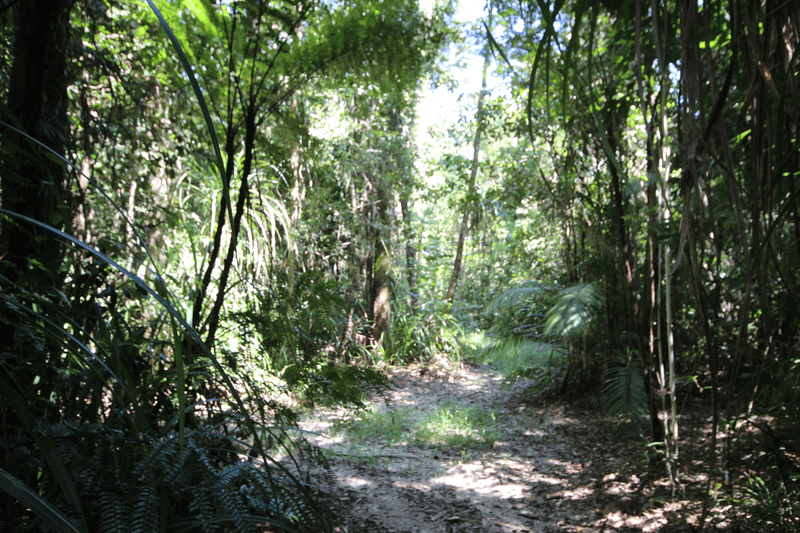 Lot 5 Woopen Creek Road, WOOPEN CREEK, QLD 4871