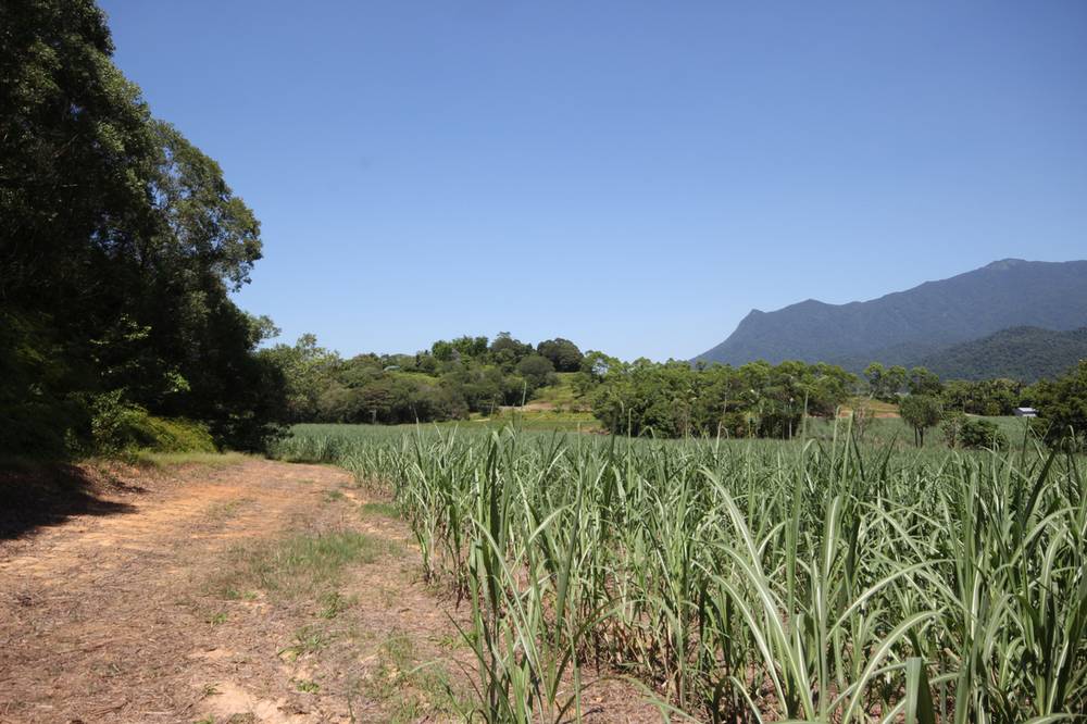 Lot 5 Woopen Creek Road, WOOPEN CREEK, QLD 4871