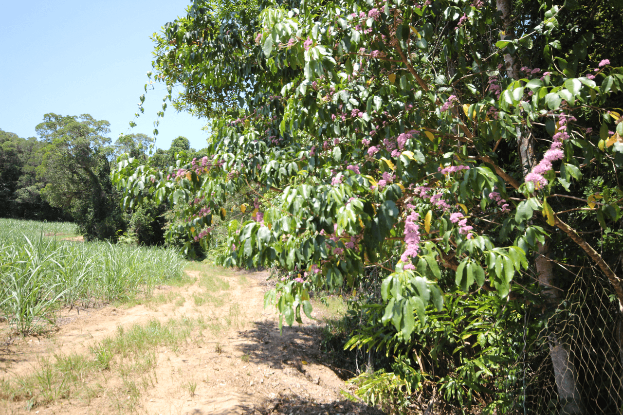 Lot 5 Woopen Creek Road, WOOPEN CREEK, QLD 4871