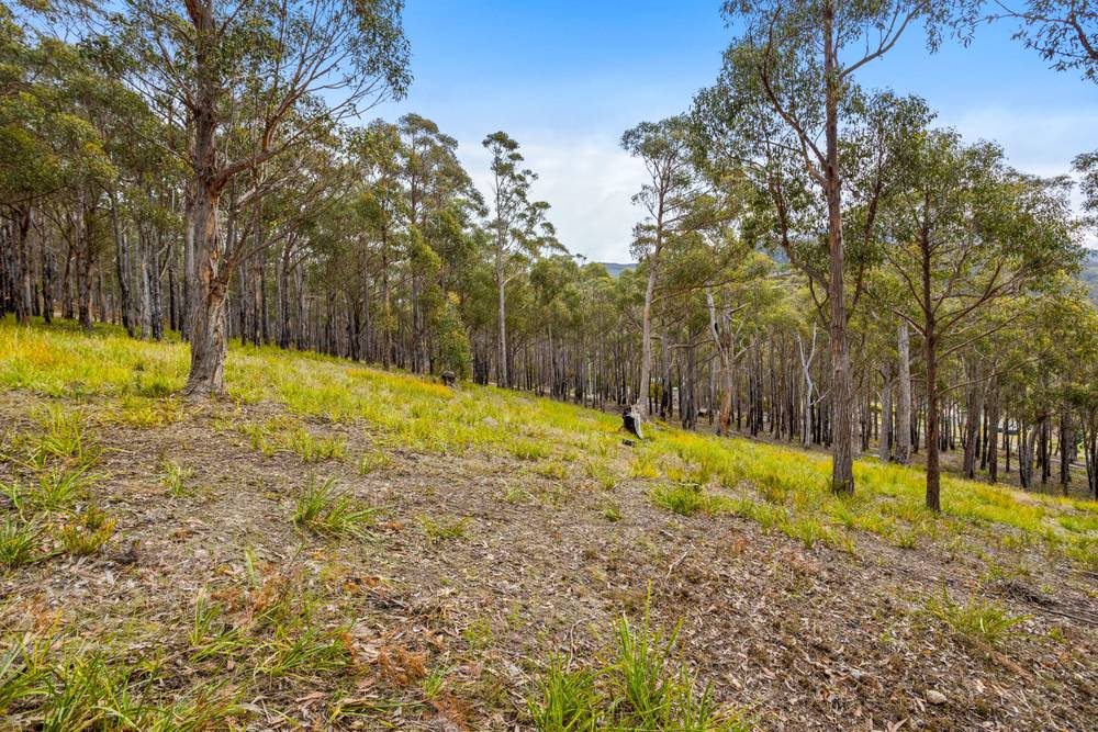 90 Hackford Drive, Kingston, TAS 7050