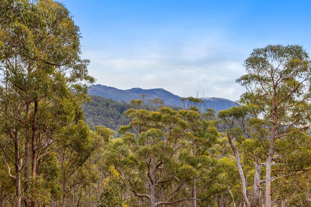 90 Hackford Drive, Kingston, TAS 7050