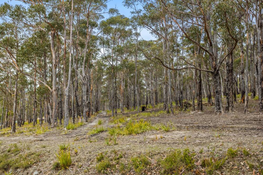 90 Hackford Drive, Kingston, TAS 7050